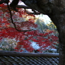 東慶寺の秋 02