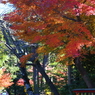 鶴岡八幡宮の秋 02
