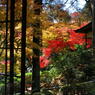 大興善寺の紅葉（６）