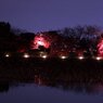 大覚寺の夜