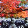 化野念仏寺　その２