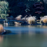 藍色に染まる