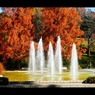 森林公園2