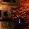 【Kyoto Tower】