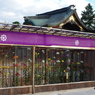 古都の名菊