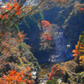 粟又の滝