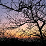 Sunset hill