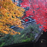 穴場　その３