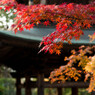 円覚寺～其の五