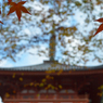 古寺の彩り　13