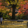 古寺の彩り　14