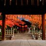 竹中稲荷神社の紅葉