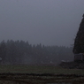 Early Winter