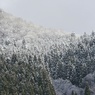 雪化粧