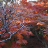 長谷寺の秋 02