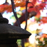長谷寺の秋 03