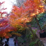 長谷寺の秋 06