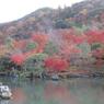 天龍寺庭園