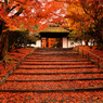 安楽寺2013