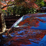 京都の紅葉2013　2-4