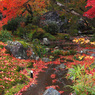 京都の紅葉2013　2-７