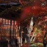 京都の紅葉2013　2-13