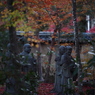 京都の紅葉2013　2-17