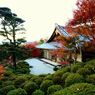 晩秋の金福寺