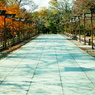 2013 秋　京都