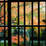 2013 秋　京都