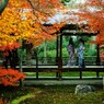 2013 秋　京都
