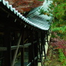 2013 秋　京都