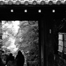 2013 秋　京都