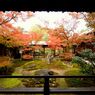 建仁寺の紅葉