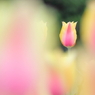 PHOTO－0201
