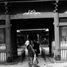 谷根千 5