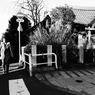 谷根千 19