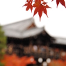 東福寺より
