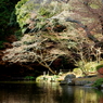 晩秋 2013