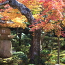 圓光寺3