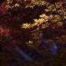 奥山に紅葉踏み分け鳴く鹿の
