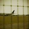 photo_299182
