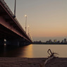 IMGP0878