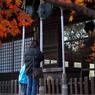 本土寺・秋 (4)