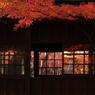 本土寺・秋 (17)