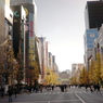 #12 Pedestrian mall