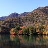 紅葉１