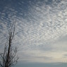 IMG_6564