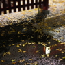 鴻神社⑭ギャラリー