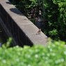 着陸直前